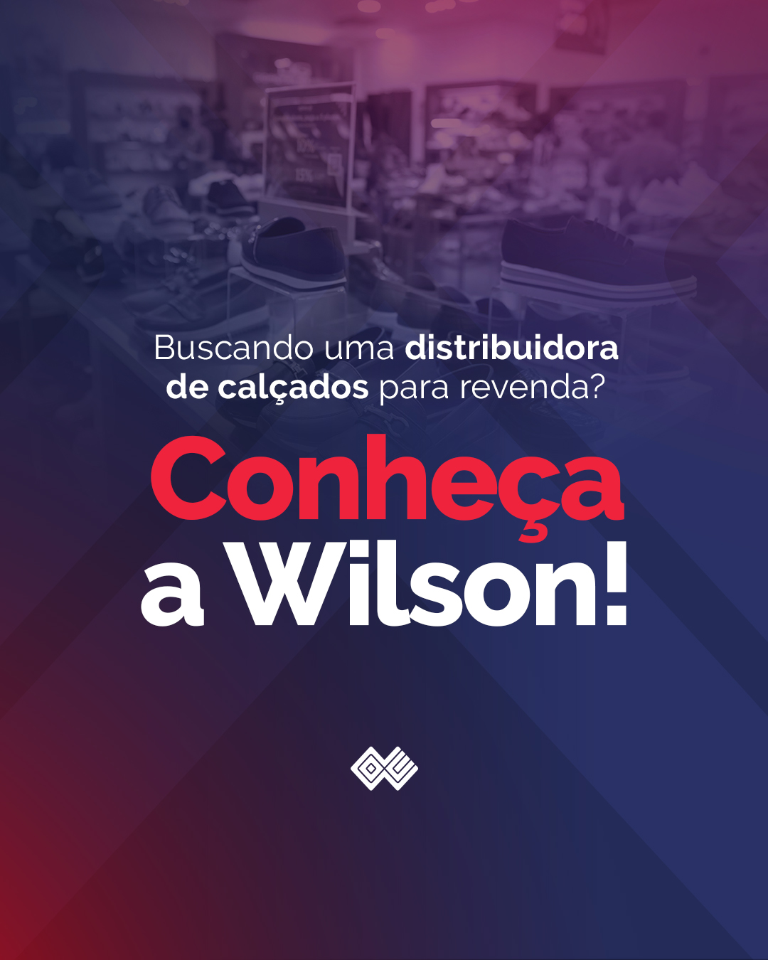 Buscando uma distribuidora de calçados para revenda? Conheça o Wilson!